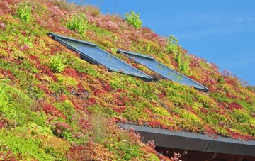Potters Corner living roof systems